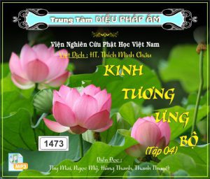 Kinh Tương Ưng Bộ tập 4 64kbps