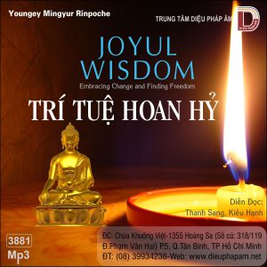 Trí Tuệ Hoan Hỷ - Yongey Mingyur Rinpoche
