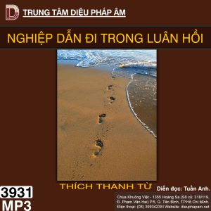 Nghiệp Dẫn Đi Trong Luân Hồi 32kbps