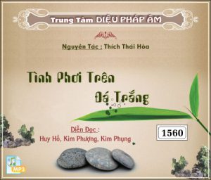 Tình Phơi Trên Đá Trắng - Thích Thái Hòa
