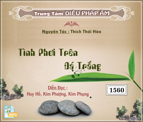 Tình Phơi Trên Đá Trắng - Thích Thái Hòa