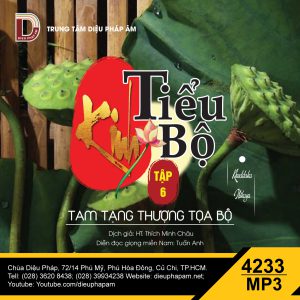 Kinh Tiểu Bộ tập 6 - giọng miền Nam