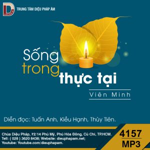 Sống Trong Thực Tại - Sư Viên Minh