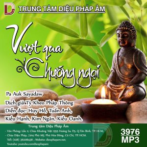 Vượt Qua Chướng Ngại - Pa Auk Sayadaw