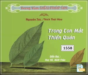 Trong Con Mắt Thiền Quán - Thích Thái Hòa