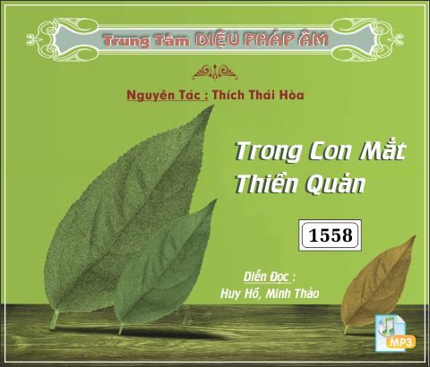 Trong Con Mắt Thiền Quán - Thích Thái Hòa