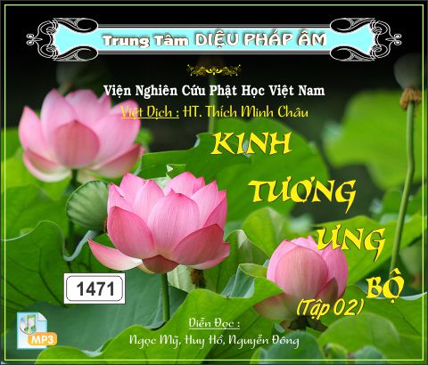 Kinh Tương Ưng Bộ tập 2 64kbps