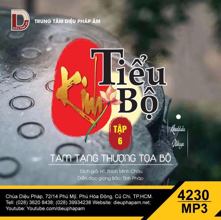 Kinh Tiểu Bộ tập 6 - giọng miền Bắc