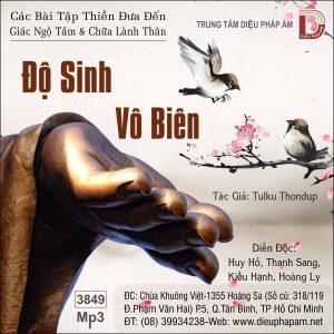 Độ Sinh Vô Biên - Tulku Thondup