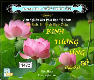 Kinh Tương Ưng Bộ tập 3 64kbps