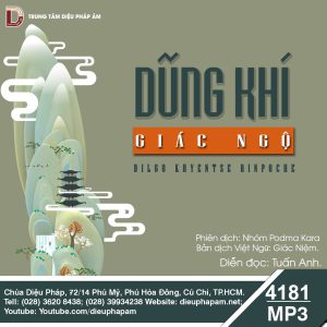 Dũng Khí Giác Ngộ - Dilgo Khyentse Rinpoche