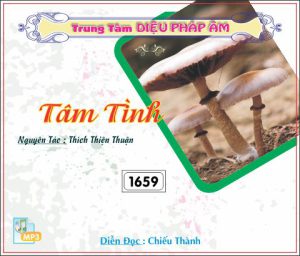 Tâm Tình - Thích Thiện Thuận