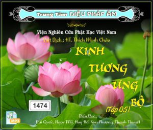 Kinh Tương Ưng Bộ tập 5 64kbps