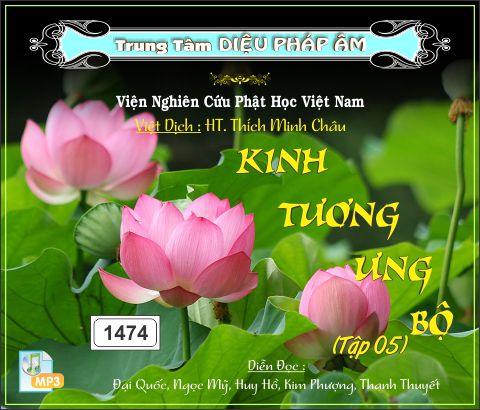 Kinh Tương Ưng Bộ tập 5 64kbps