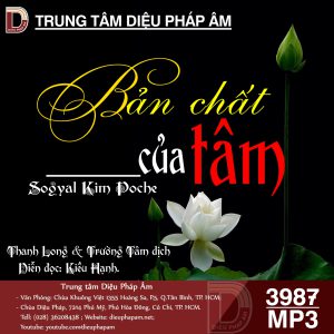 Bản Chất Của Tâm - Sogyal Rinpoche