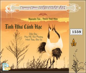 Tình Như Cánh Hạc - Thích Thái Hòa