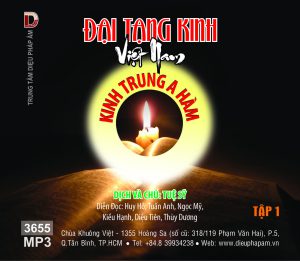 Kinh Trung A Hàm tập 1 64kbps
