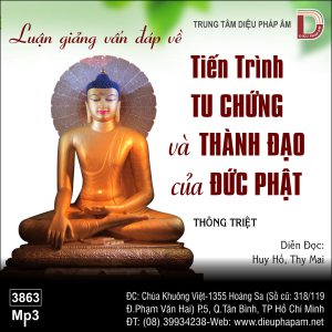 Luận Giảng Vấn Đáp Về Tiến Trình Tu Chứng Và Thành Đạo Của Đức Phật - Thích Thông Triệt