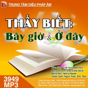 Thấy, Biết, Bây Giờ Và Ở Đây - Ayya Khema