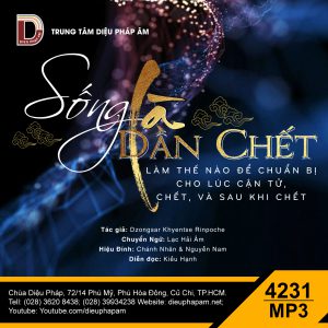 Sống Là Dần Chết - Dzongsar Khyentse Rinpoche